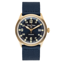 Watch Wyler Vetta Man in Steel yellow gold plated WV0164 - WV0164